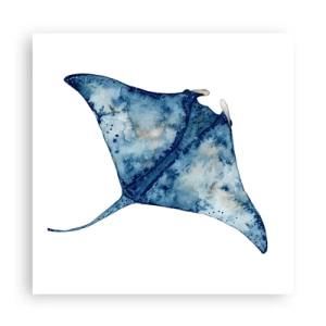 Poster - Vita nel blu - 60x60 cm