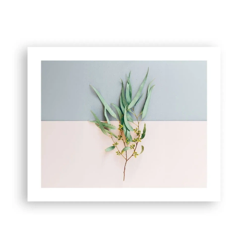 Poster - Delicatezza pastello - 50x40 cm