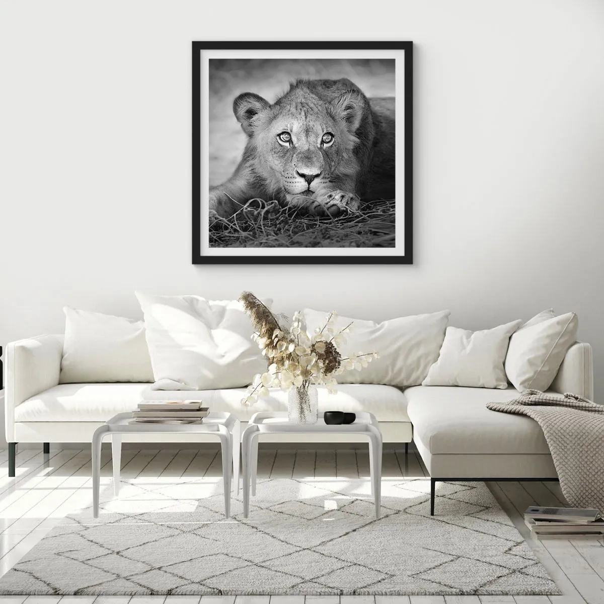 Poster in cornice nera - Cucciolo reale - 50x50 cm