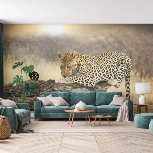 Fotomurali Premium Canvas - Vado per la mia strada - Animali, leopardo, Africa - 150x105 cm