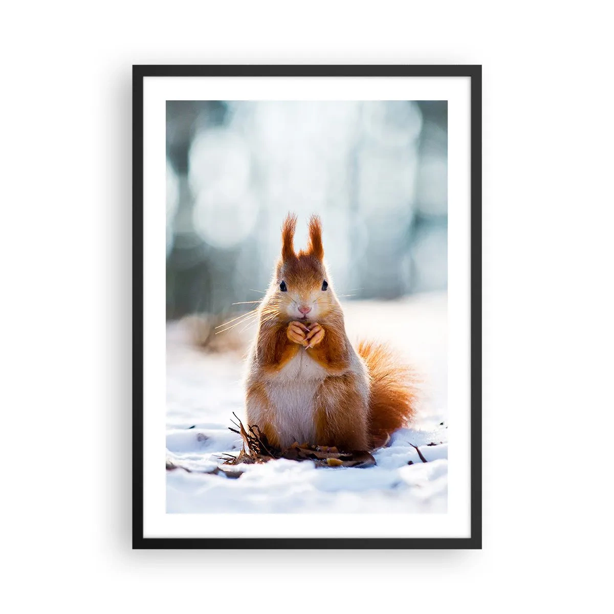 Poster in cornice nera - Scoiattolo nella neve nella foresta invernale - 50x70cm - Che cosa guardi? - Decorazione murale moderna per soggiorno e camera da letto ARTTOR