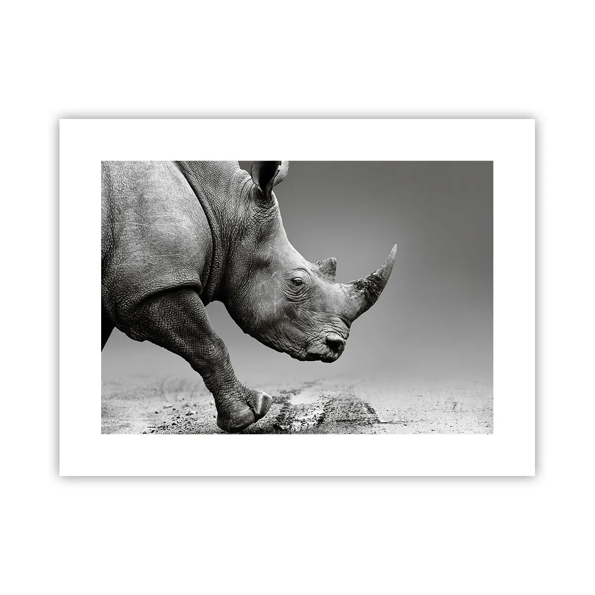 Poster - Forza irrefrenabile - 40x30 cm