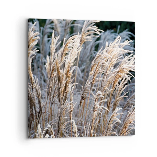 Quadro su tela - Stampe su Tela - Vestite di brina - 70x70 cm