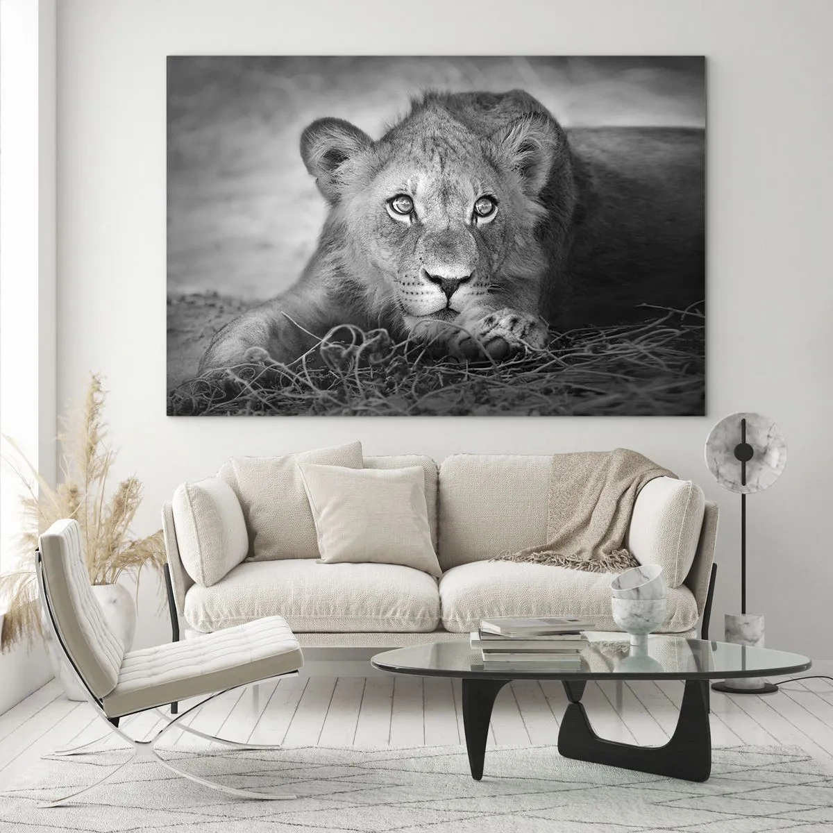 Quadro su vetro - Un cucciolo di leone in bianco e nero che fissa la telecamera - 70x50cm - Cucciolo reale - Decorazione murale moderna per soggiorno e camera da letto ARTTOR