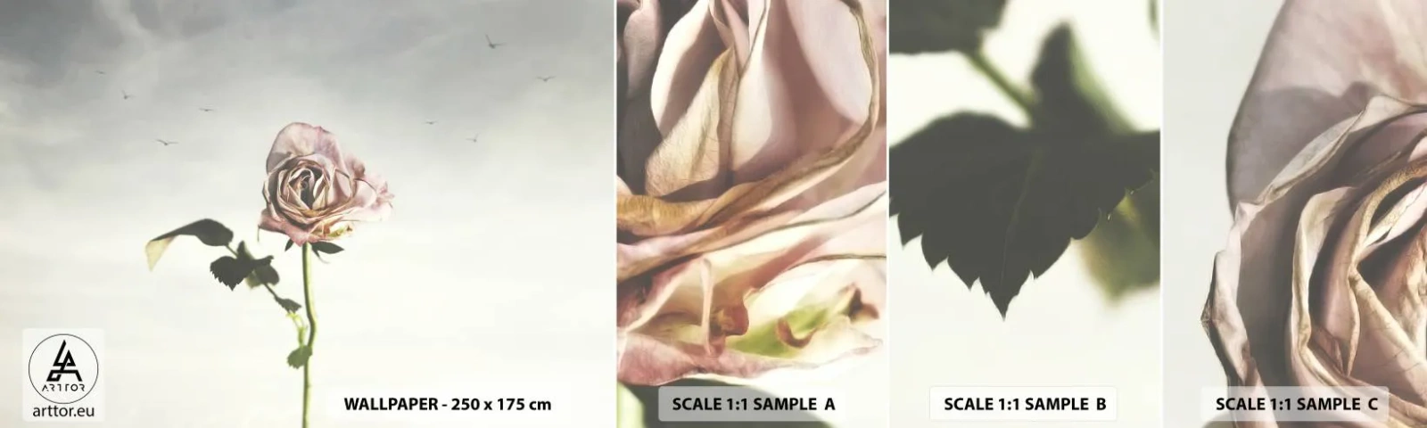 Campione di Fotomurale Adesivo Deluxe Sticker - Il benvenuto alla primavera - Rosa, Fiore, Pezzo - 100x30 cm