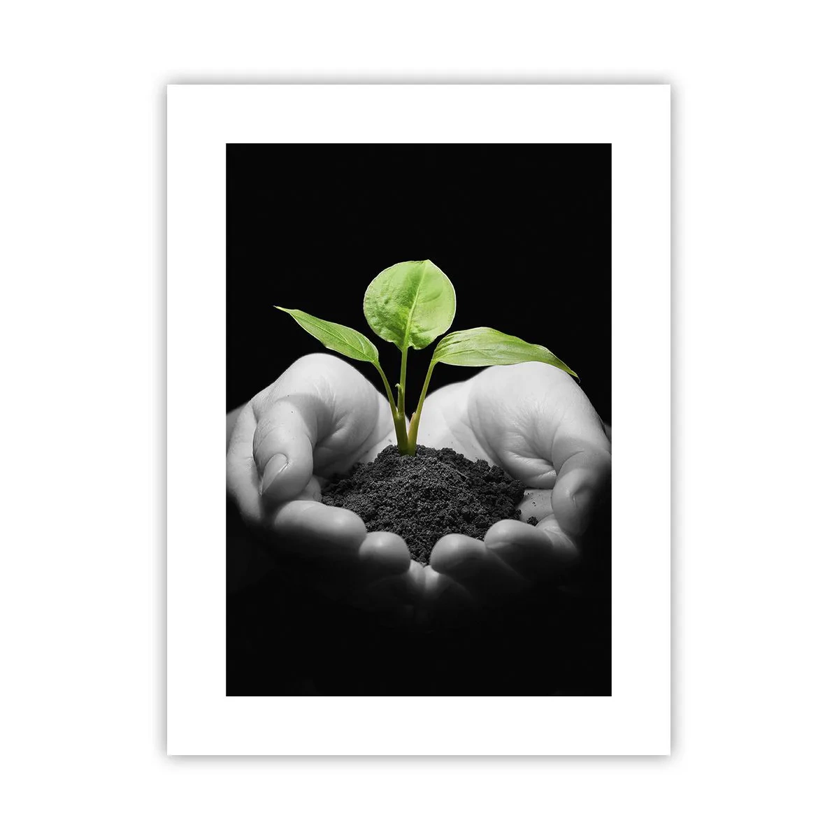 Poster - Amo la natura, la proteggo - 30x40 cm