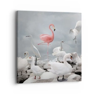 Quadro su tela - Stampe su Tela - Come sono arrivato qui? - 40x40 cm