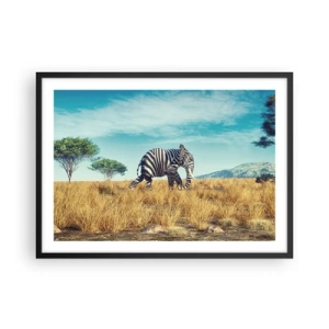 Poster in cornice nera - Zebra in un paesaggio africano - 70x50cm - Il grigio non è più di moda - Decorazione murale moderna per soggiorno e camera da letto ARTTOR