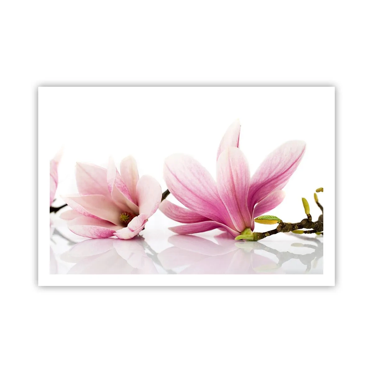 Poster - Delicati come un soffio di primavera - 91x61 cm