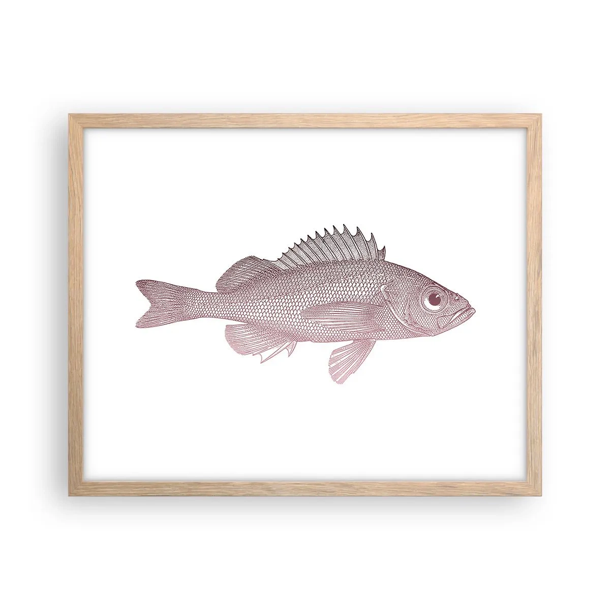 Poster in cornice rovere chiaro - Il pesce dagli occhi enormi - 50x40 cm