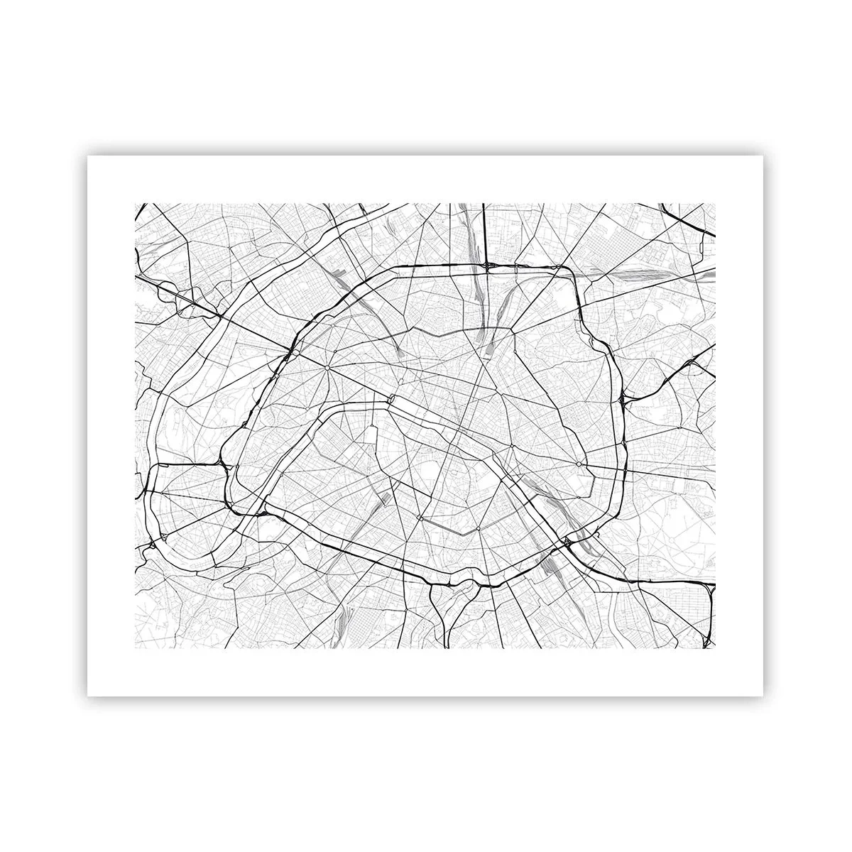 Poster - Il fiore di Parigi - 50x40 cm