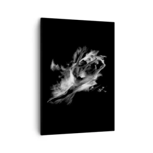 Quadro su tela - Stampe su Tela - Una ballerina in posa dinamica su uno sfondo nero - 50x70cm - Fermo in volo - Decorazione murale moderna per soggiorno e camera da letto ARTTOR