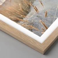Rovere chiaro