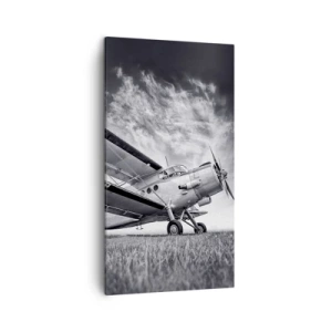 Quadro su tela - Stampe su Tela - Giramondo alato  - 45x80 cm