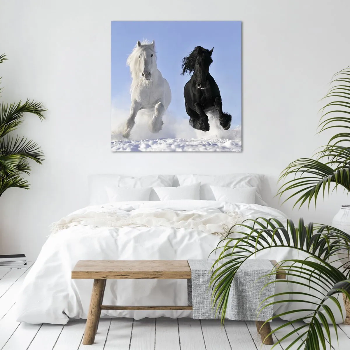 Quadro su tela - Stampe su Tela - Galoppo in bianco e nero - 60x60 cm