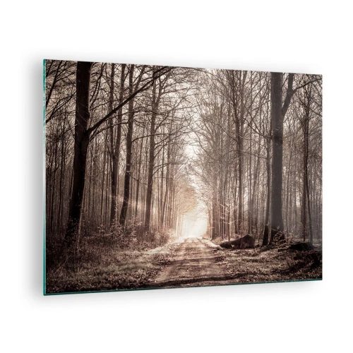 Quadro su vetro - Strada forestale nella nebbia mattutina - 70x50cm - La cattedrale del bosco - Decorazione murale moderna per soggiorno e camera da letto ARTTOR