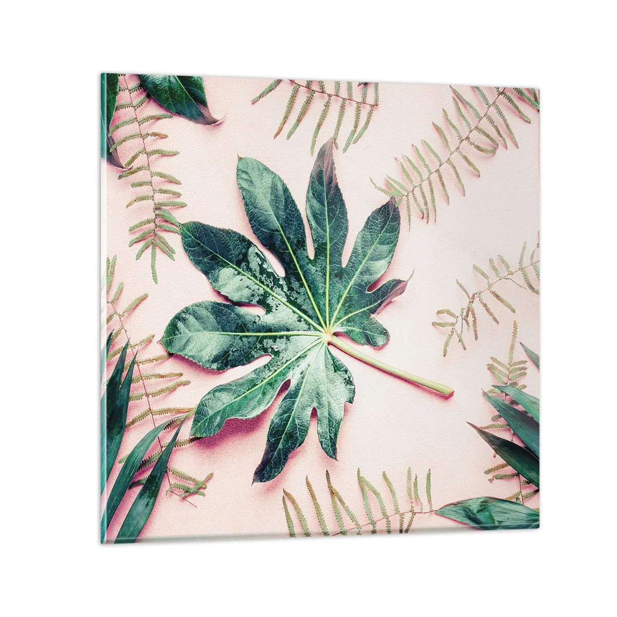 Quadro su vetro - Studio di verde su sfondo rosa - 30x30 cm