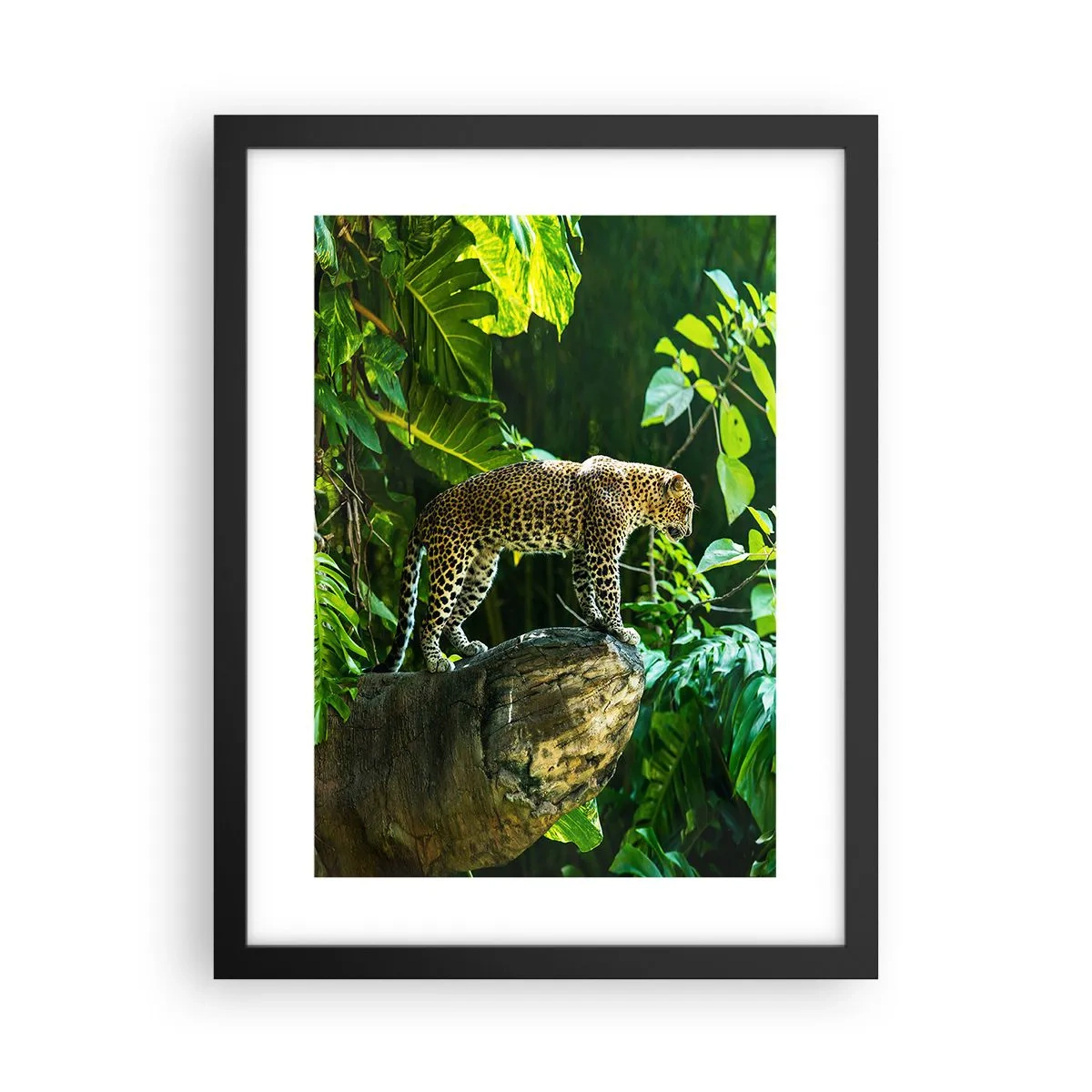 Poster in cornice nera - A caccia? - 30x40 cm