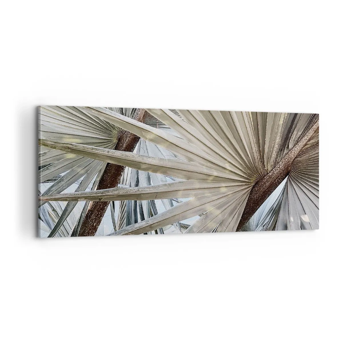 Quadro su tela - Stampe su Tela - Ventagli dei tropici - 100x40 cm