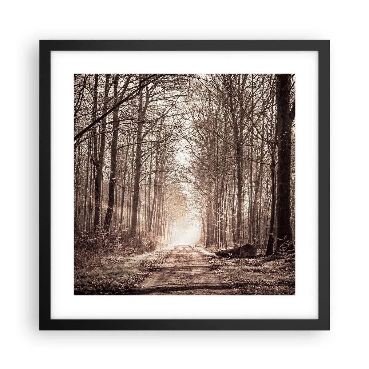 Poster in cornice nera - La cattedrale del bosco - 40x40 cm