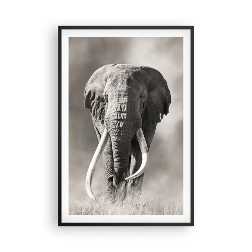 Poster in cornice nera - Patriarca africano - 61x91 cm