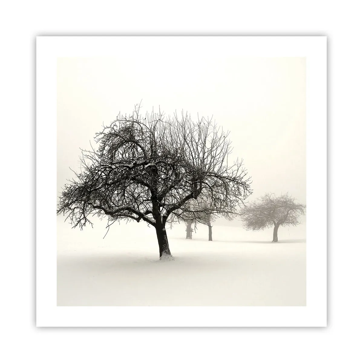 Poster - Sogno invernale - 50x50 cm