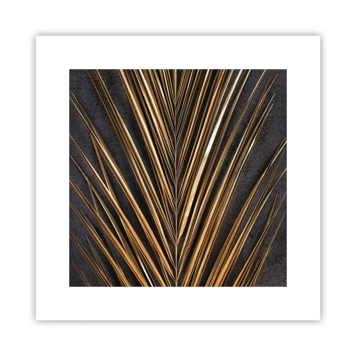 Poster - L'oro dei tropici - 30x30 cm