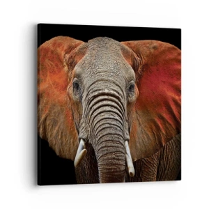 Quadro su tela - Stampe su Tela - Sono selvaggio e tu? - 40x40 cm