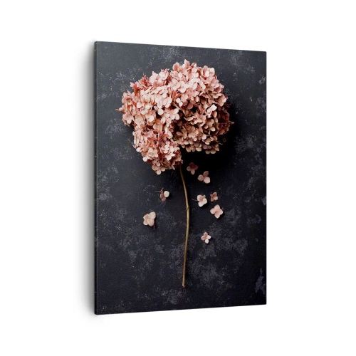Quadro su tela - Stampe su Tela - Un delicato fiore di ortensia su uno sfondo scuro - 50x70cm - Un vero segno romantico - Decorazione murale moderna per soggiorno e camera da letto ARTTOR