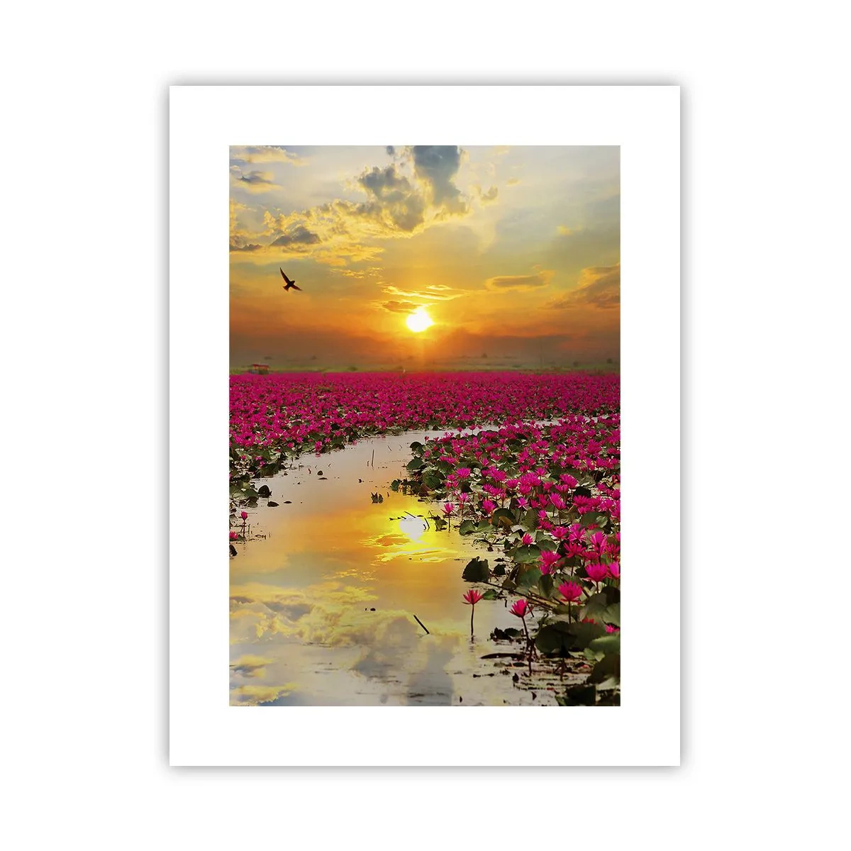 Poster - La vita segreta del lago - 30x40 cm