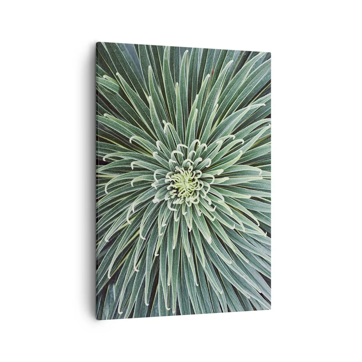 Quadro su tela - Stampe su Tela - Disposizione simmetrica di foglie verdi che ricordano una stella - 50x70cm - La nascita delle stelle - Decorazione murale moderna per soggiorno e camera da letto ARTTOR