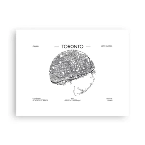 Poster - Anatomia di Toronto - 40x30 cm