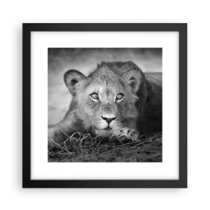 Poster in cornice nera - Cucciolo reale - 30x30 cm