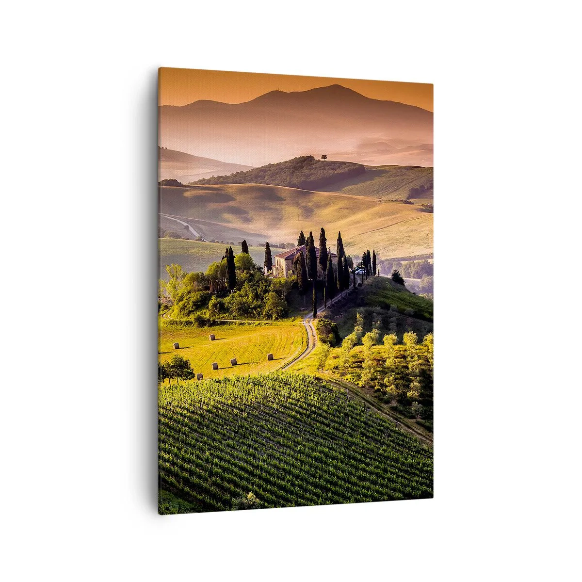 Quadro su tela - Stampe su Tela - Paesaggio toscano con vigneti e una casa su una collina - 70x100cm - Arcadia: paesaggio toscano - Decorazione murale moderna per soggiorno e camera da letto ARTTOR