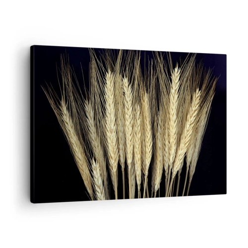 Quadro su tela - Stampe su Tela - Spighe di grano su sfondo nero in stile rustico - 70x50cm - Magia rustica - Decorazione murale moderna per soggiorno e camera da letto ARTTOR