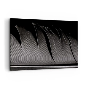 Quadro su tela - Stampe su Tela - Texture di piume bianche e nere in stile minimalista - 100x70cm - Piuma: struttura meravigliosa - Decorazione murale moderna per soggiorno e camera da letto ARTTOR