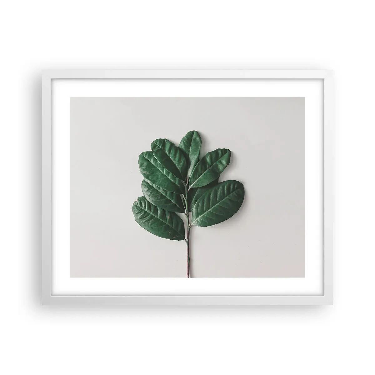 Poster in cornice bianca - Il disegno della natura stessa - 50x40 cm