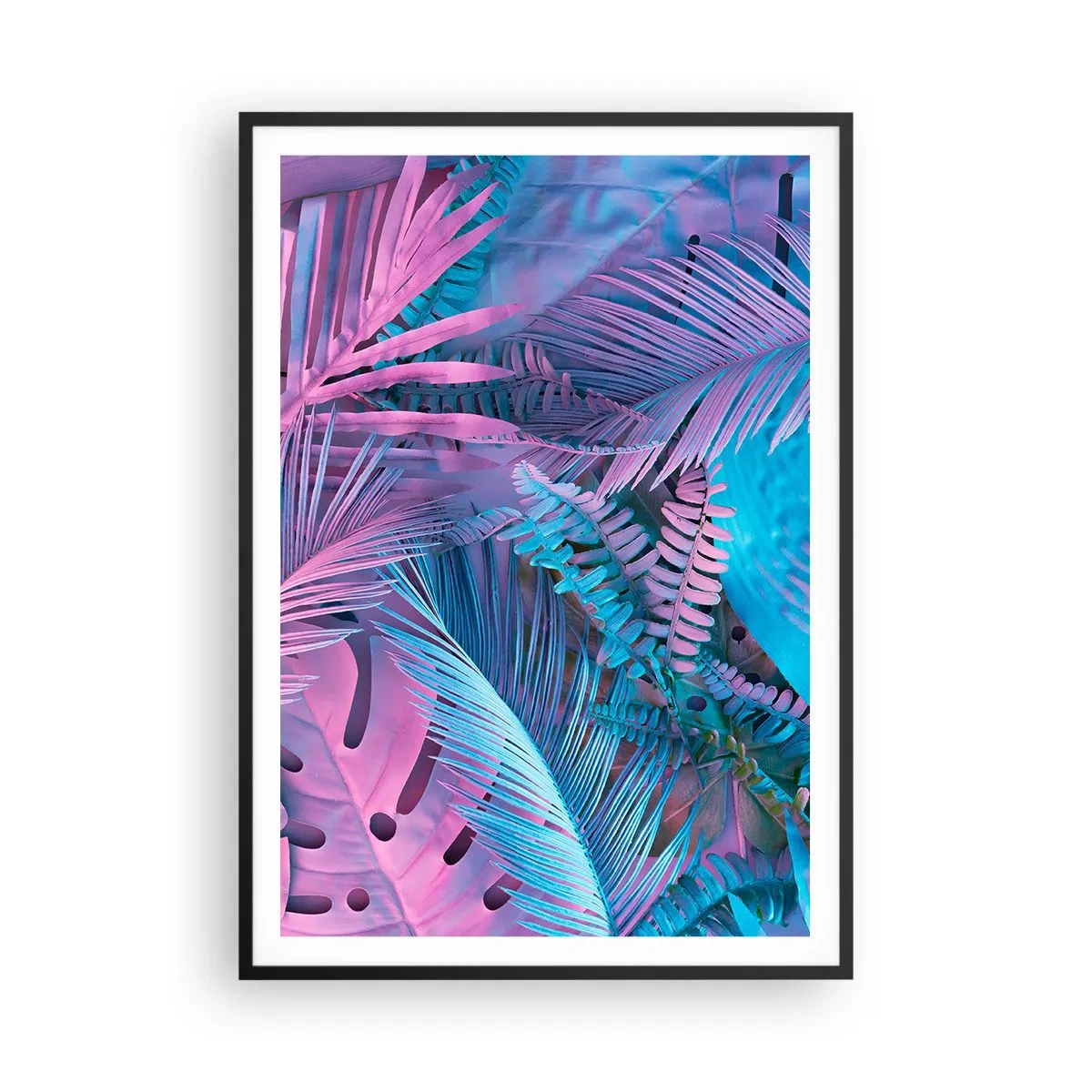 Poster in cornice nera - Tropici in rosa e blu - 70x100 cm