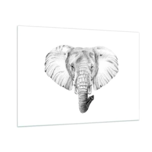 Quadro su vetro - Disegno in bianco e nero della testa di un elefante su sfondo bianco - 100x70cm - C'era un volta un elefante - Decorazione murale moderna per soggiorno e camera da letto ARTTOR