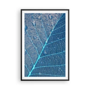 Poster in cornice nera - Vita nel blu - 61x91 cm