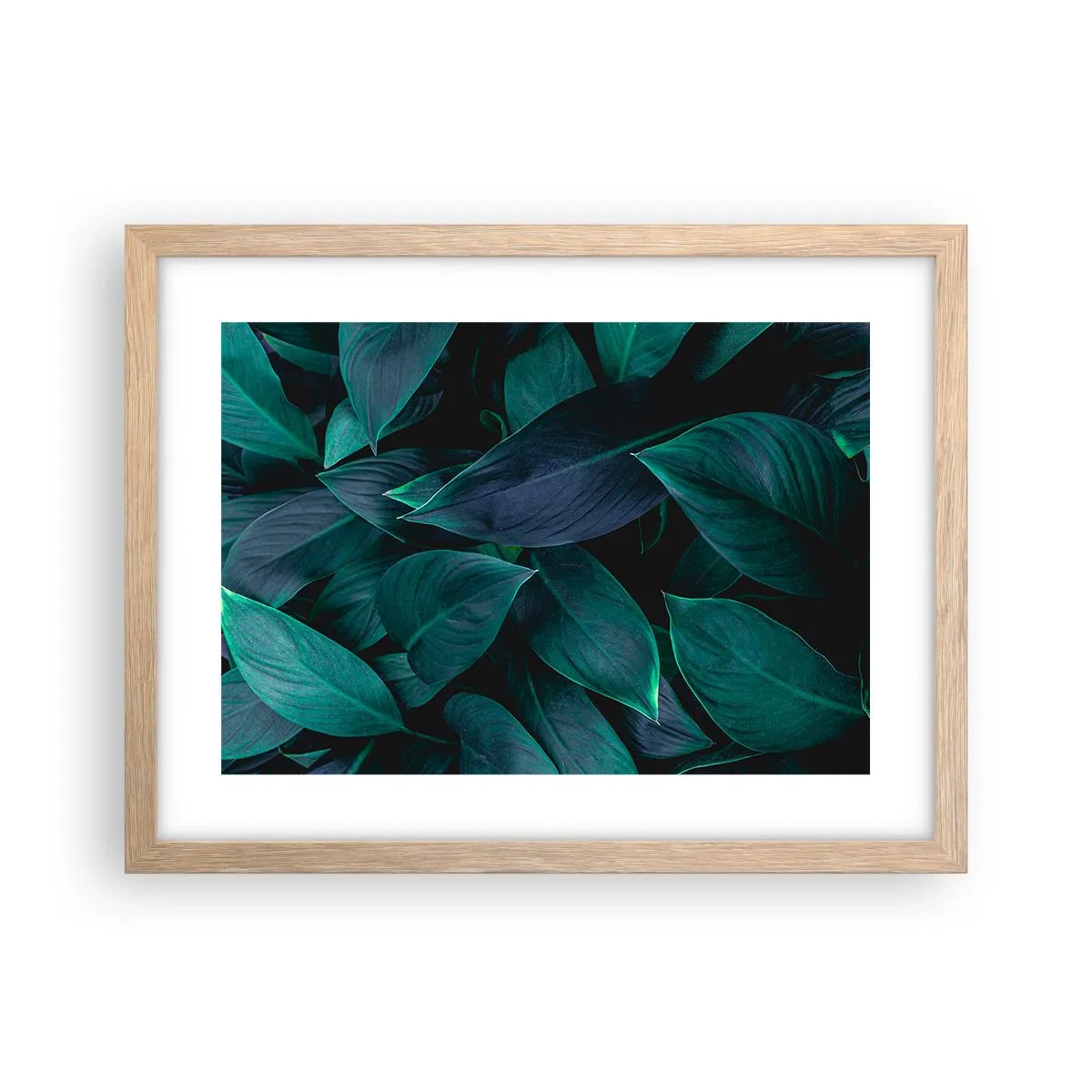 Poster in cornice rovere chiaro - Il verde puro - 40x30 cm