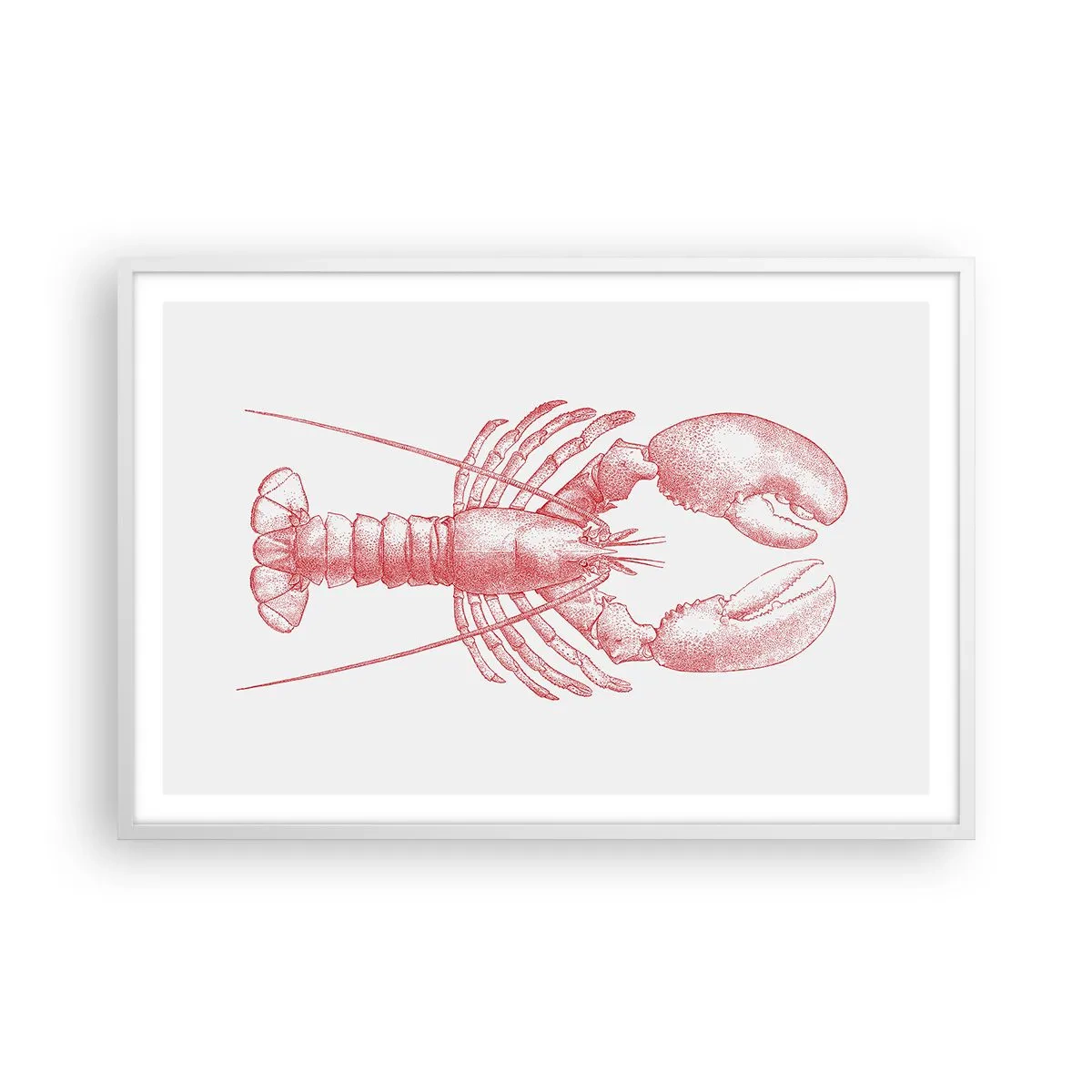 Poster in cornice bianca - Aragosta d'agosto - 91x61 cm