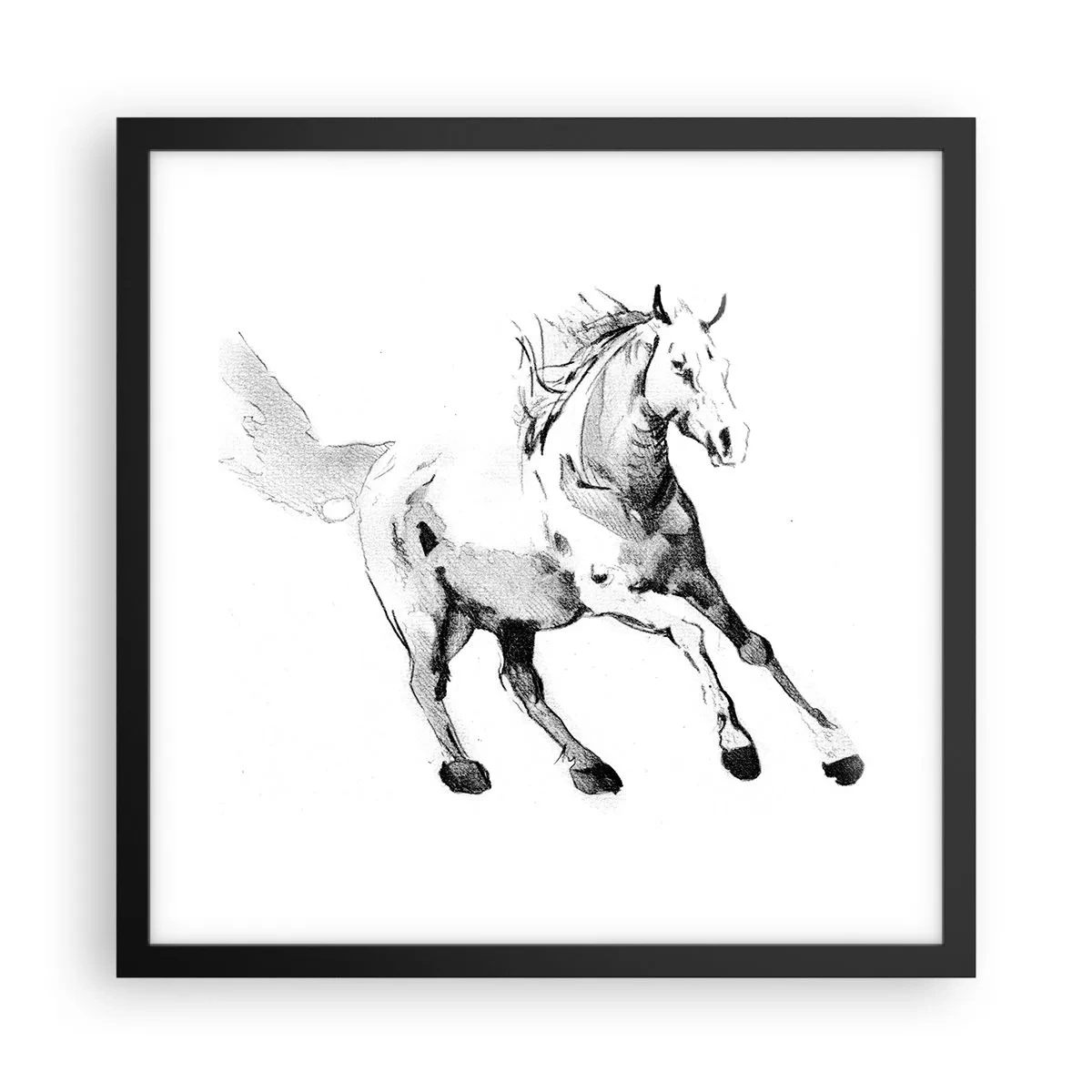 Poster in cornice nera - Anima indomabile - 40x40 cm