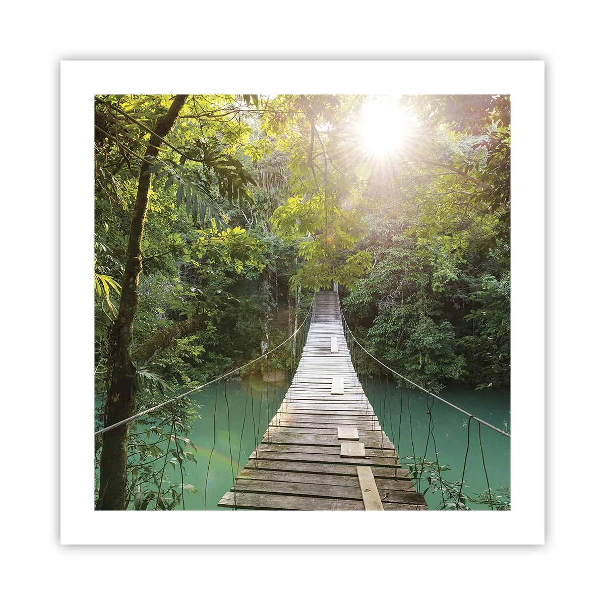 Poster - Sull'acqua azzurra verso il bosco azzurro - 50x50 cm