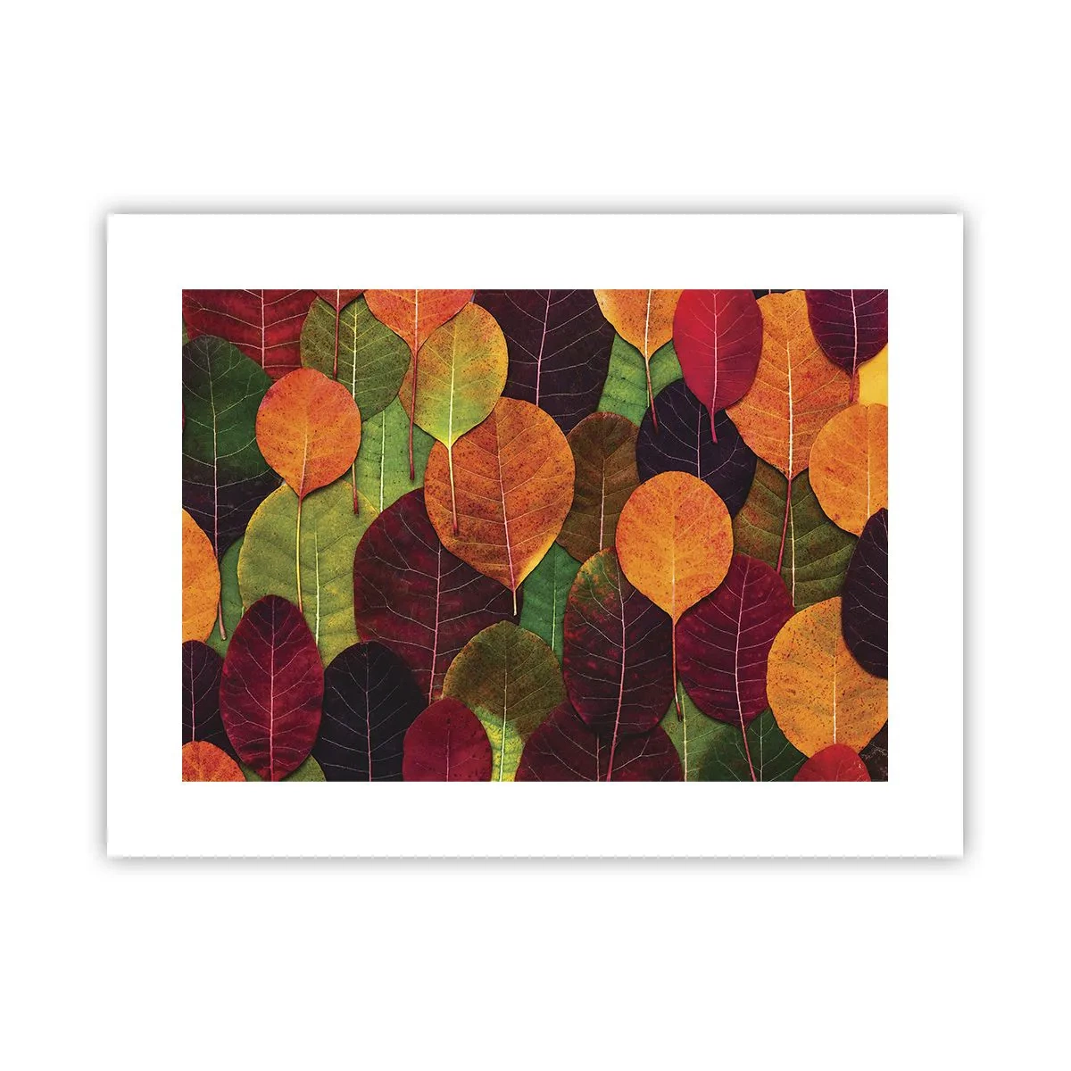 Poster - Mosaico autunnale - 40x30 cm
