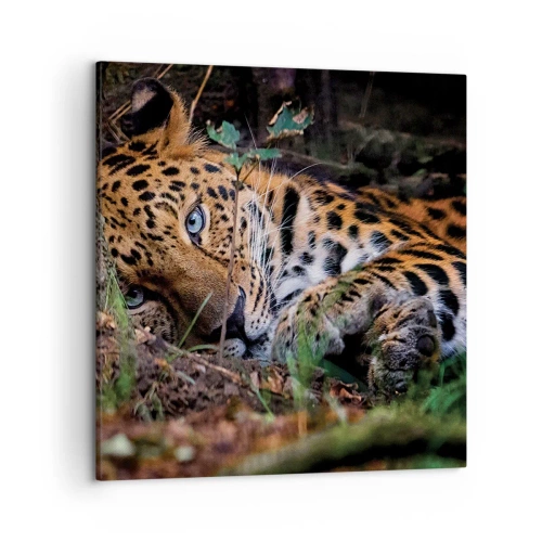 Quadro su tela - Stampe su Tela - Fidati di me - 50x50 cm