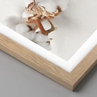 Rovere chiaro