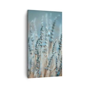 Quadro su tela - Stampe su Tela - Campo profumato - 45x80 cm