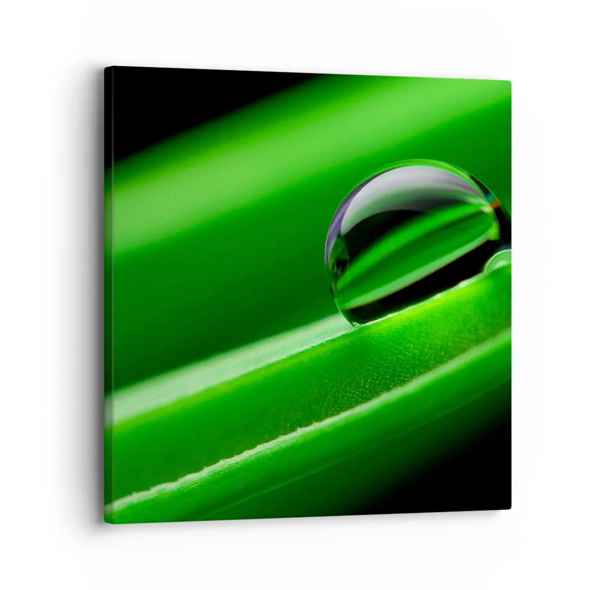 Quadro su tela - Stampe su Tela - La vita da vicino - 30x30 cm