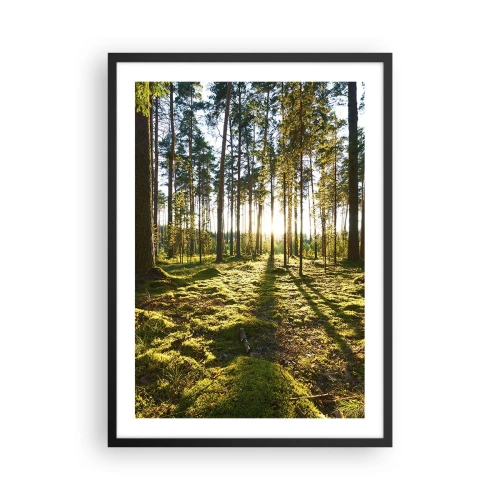 Poster in cornice nera - Foresta verde al mattino con i raggi del sole nascente - 50x70cm - …dopo sette foreste - Decorazione murale moderna per soggiorno e camera da letto ARTTOR